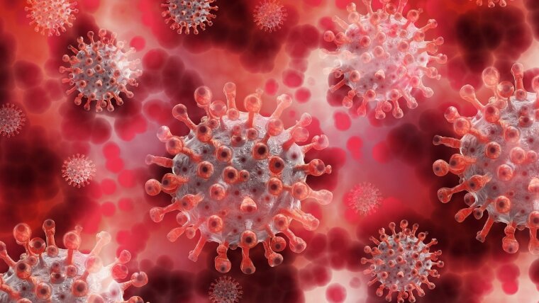 Coronavirus