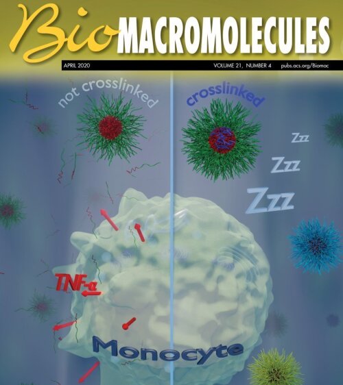 Cover Biomacromolecules