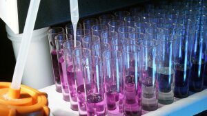 test tubes containing pink fuid