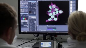 Cell tissue on the monitor of a fluorescence microscope.